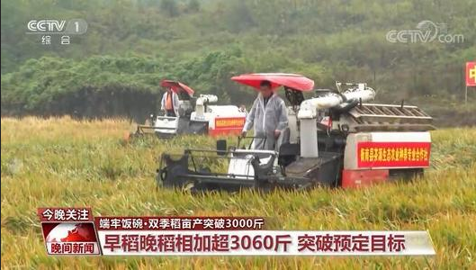 热点网络分析：袁隆平团队双季稻亩产破1500公斤