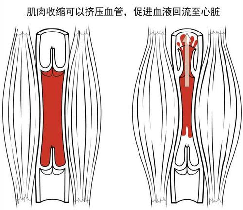 一段